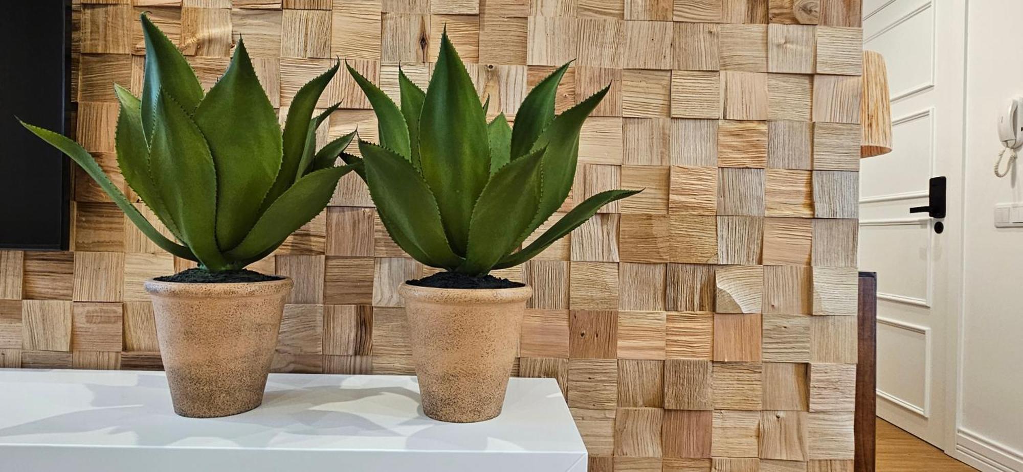 Casa "Avo Chupeta" - Nazare - Alojamento Local Dış mekan fotoğraf